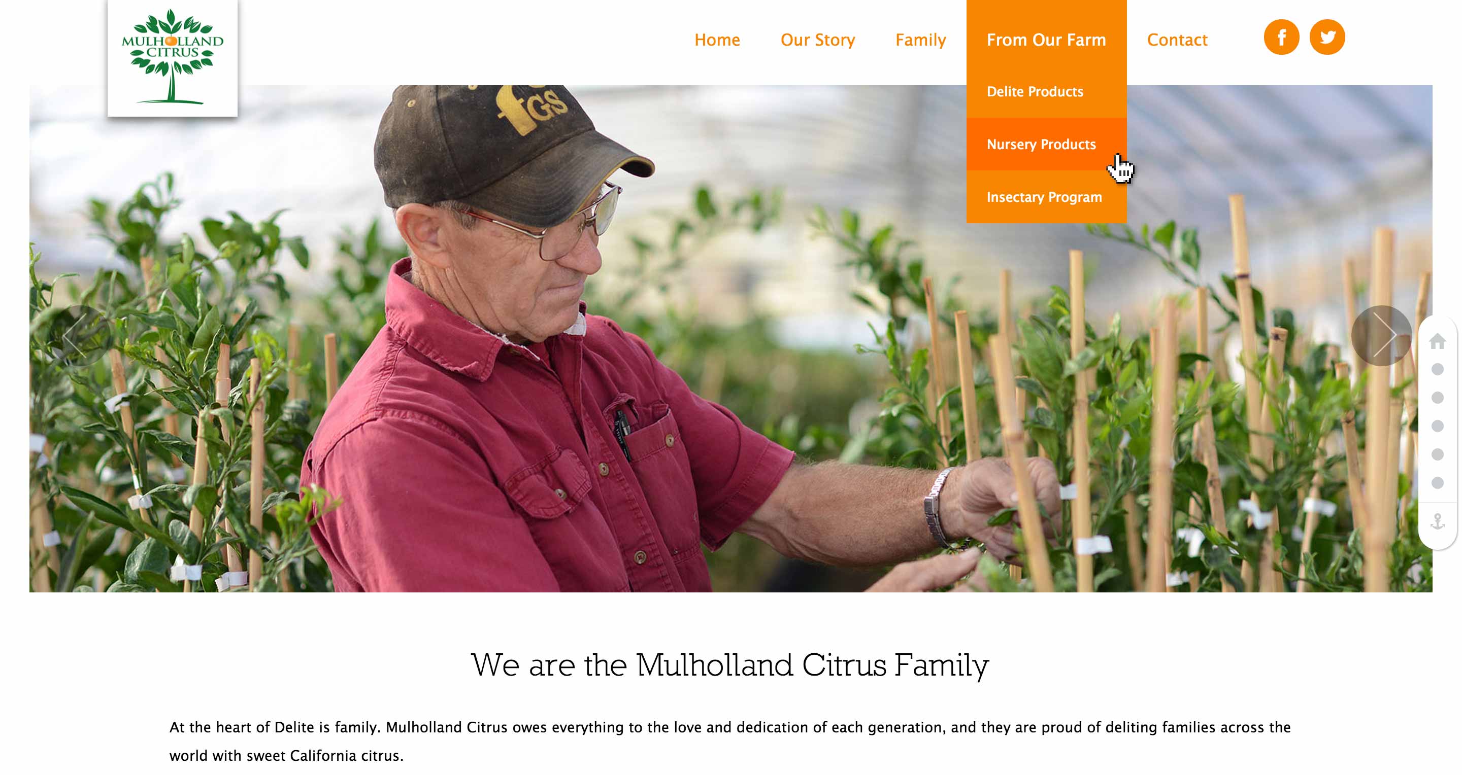 Screen shot of the Mulholland Citrus Wordpress web site